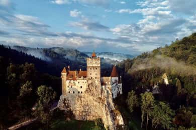 Bucharest: Peles and Bran Castles and Brasov Day Trip