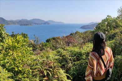 Hong Kong | Caminhada e tour pelas joias escondidas com motorista particular