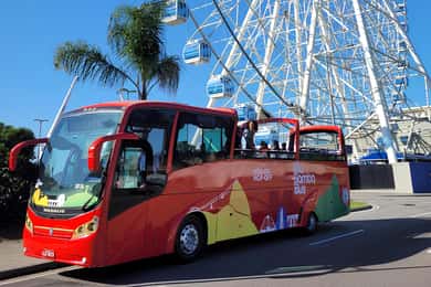 Rio Samba Bus: tour en autobús turístico por la ciudad de Río de Janeiro