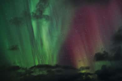 Bodø: Northern Lights safari