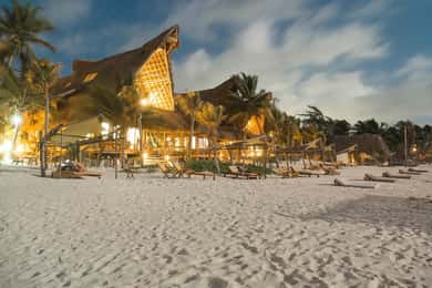 Tulum: Ahau de Noche Dinner with Drinks and Hotel Transfer