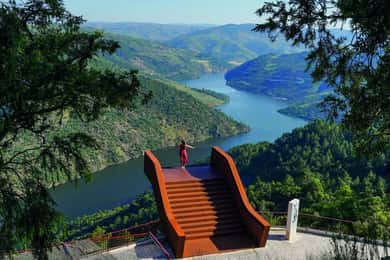 Vallée du Douro: Croisière & découverte de vignobles depuis Porto ou Aveiro