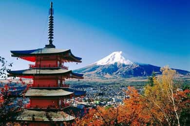 Z Tokia: Celodenní soukromý výlet na horu Fuji a do Hakone