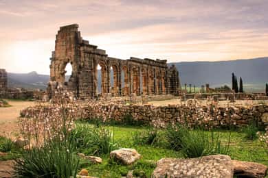 Volubilis Moulay Idriss og Meknes dagsudflugt med lille gruppe