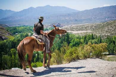 From Mendoza: Sunset Horseback Ride and Asado in the Andes