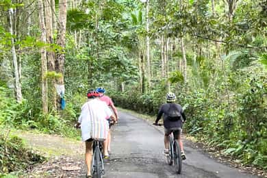 Pedal Through Paradise: Bali Wanderlust Sidemen Cycling Tour