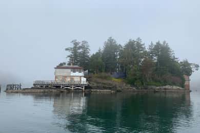 Passeio a remo pela histórica Ilha Cole - Victoria BC