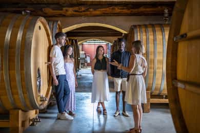 Cannes: Wijntour door de Provence - privétour vanuit Cannes
