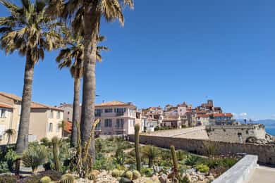 Antibes: 2 hour walking tour in the old town