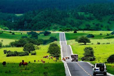 Chongqing One-Day Trip: Wulong's 3 Essentials