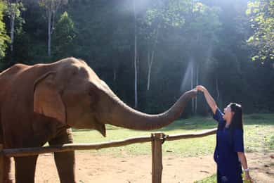 Chiang Mai: Elephants, Waterfall, and White Water Rafting