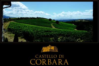 Orvieto: visit and wine tasting at Castello di Corbara