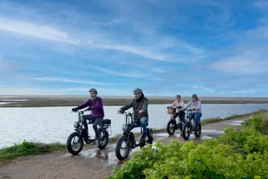 New Forest National Park: Full-Day E-Bike Rental
