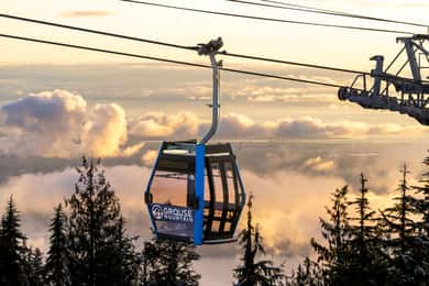 Grouse Mountain, Capilano Bridge & Fish Hatchery Tour