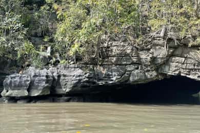 Langkawi Mangrove: Deling av båt 3 timer estimert (lunsj)