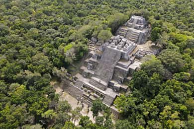 Desde Palenque : Zona Arqueológica Calakmul