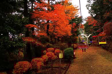 Tóquio: Excursão ao Monte Takao com Ramen e Termas que Aceitam Tatuagens