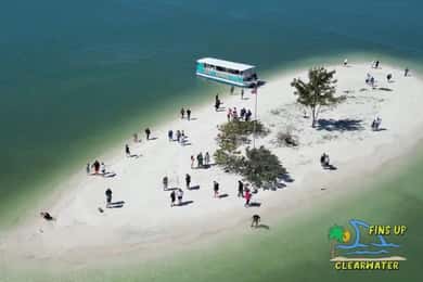 Clearwater Beach: Delphin- und Insel-Sandbank-Kreuzfahrt