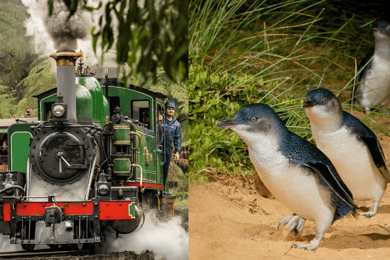 メルボルン発ビリーとペンギンのコンボツアー