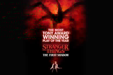 NYC: Stranger Things: The First Shadow Broadway Play Ticket