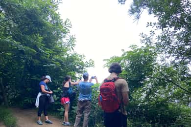 Caminhada Ulia | San Sebastián: El Camino de Santiago (O Caminho)