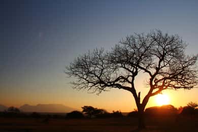Kruger National Park: 5-Day Discover the Kruger Park Safari