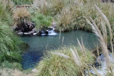 San Pedro de Atacama: Excursão de meio dia às Termas de Puritama