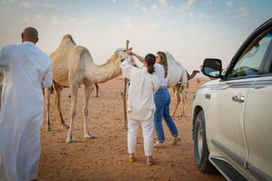 Riyadh: Besuch einer Kamelfarm im Herzen der Wüste