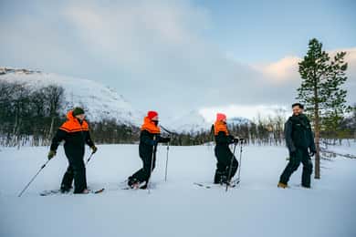 Från Tromsö: Snöskovandring på dagtid och besök i snöpark