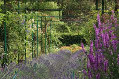 Rouen: Excursie privată la grădinile din Giverny