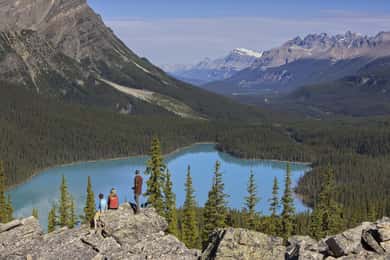 Icefield: Bow Lake, Columbia Icefield, Peyto Lake Day Tour