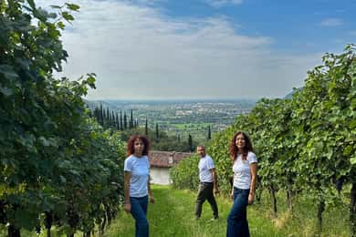 Brescia: Tagestour nach Botticino, neue historische Weinverkostung