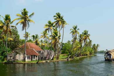 Alleppey - Alleppey Day Cruise: Private Tour From Cochin