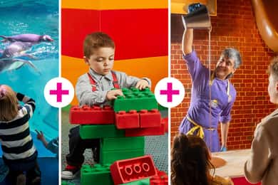 Cadbury World + SEA LIFE + LEGOLAND Discovery