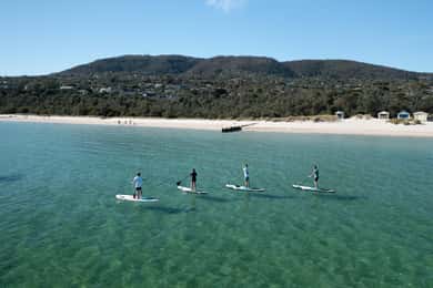 Península de Mornington: SUP, caminhada e viagem a fontes termais com almoço
