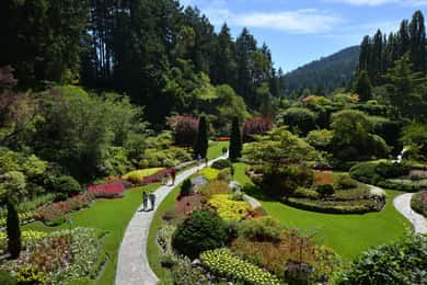 Victoria: Visita os destaques da cidade e os Jardins Butchart