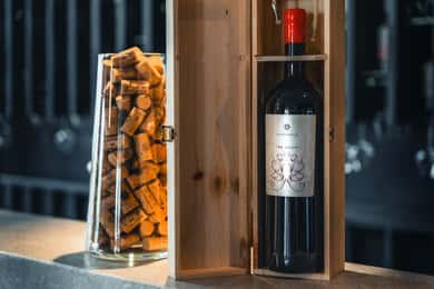 Cagliari Wine Tasting at Tenute Maestrale
