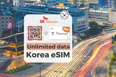 South Korea: Unlimited Data and Voice eSIM