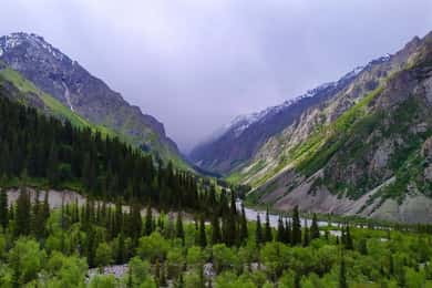 Bishkek: Ala Archa National Reserve halvdagstur med vandretur