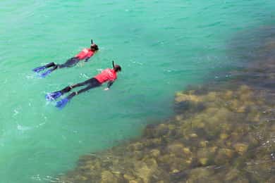 Adelaida: Snorkel y safari cervecero en Fleurieu