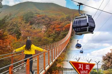 Seoul: DMZ with Optional Suspension Bridge & Gondola