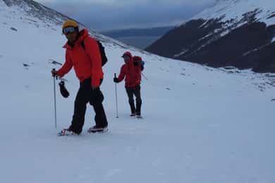 Ushuaia: Trekking Mirador Glaciar Martial