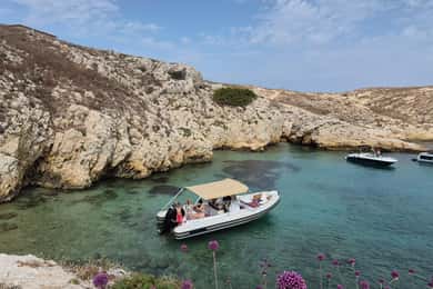 Marseille : Mini croisière en bateau dans les îles du Frioul tout inclus