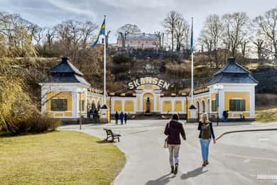 Skansen Friluftsmuseum Entrébiljett