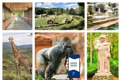 Audioguía Online del Zoo de Praga (Sin entrada)