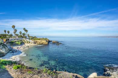 La Jolla: Aluguer de equipamento de snorkel para um dia inteiro com opção de fato de mergulho