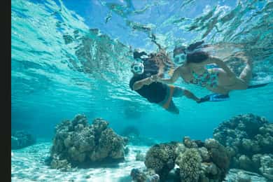Bora Bora: Snorkeling and Fishing Tour with Lunch Option