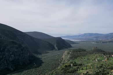 Delphi: Easy Hike on Ancient Path through the Olive Groves