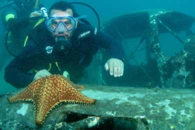 Paraty Scuba Dive at Ocean Reefs 45-Minute Tour