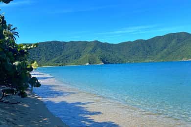 Transfer in Playa Cinto & Playa Cristal